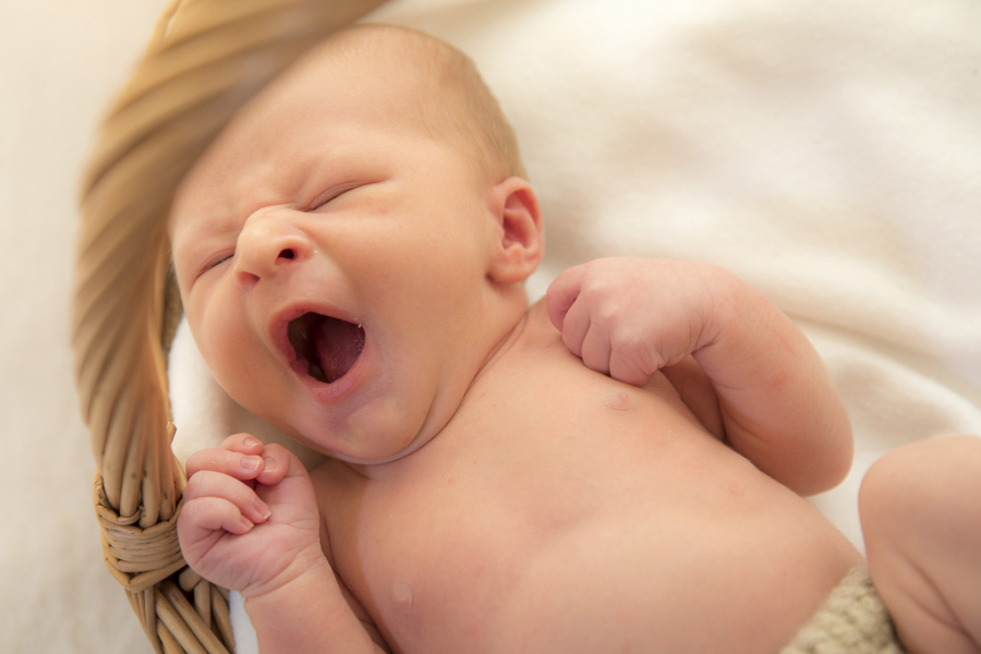 Helen J Rose Photography - pontypridd newborn photographer. South wales newborn photographer. Newborn photo shoots south Wales. - Sara V (56) Helen J Rose Photography - pontypridd newborn photographer. Newborn photographer wales. Newborn photo shoots south Wales.